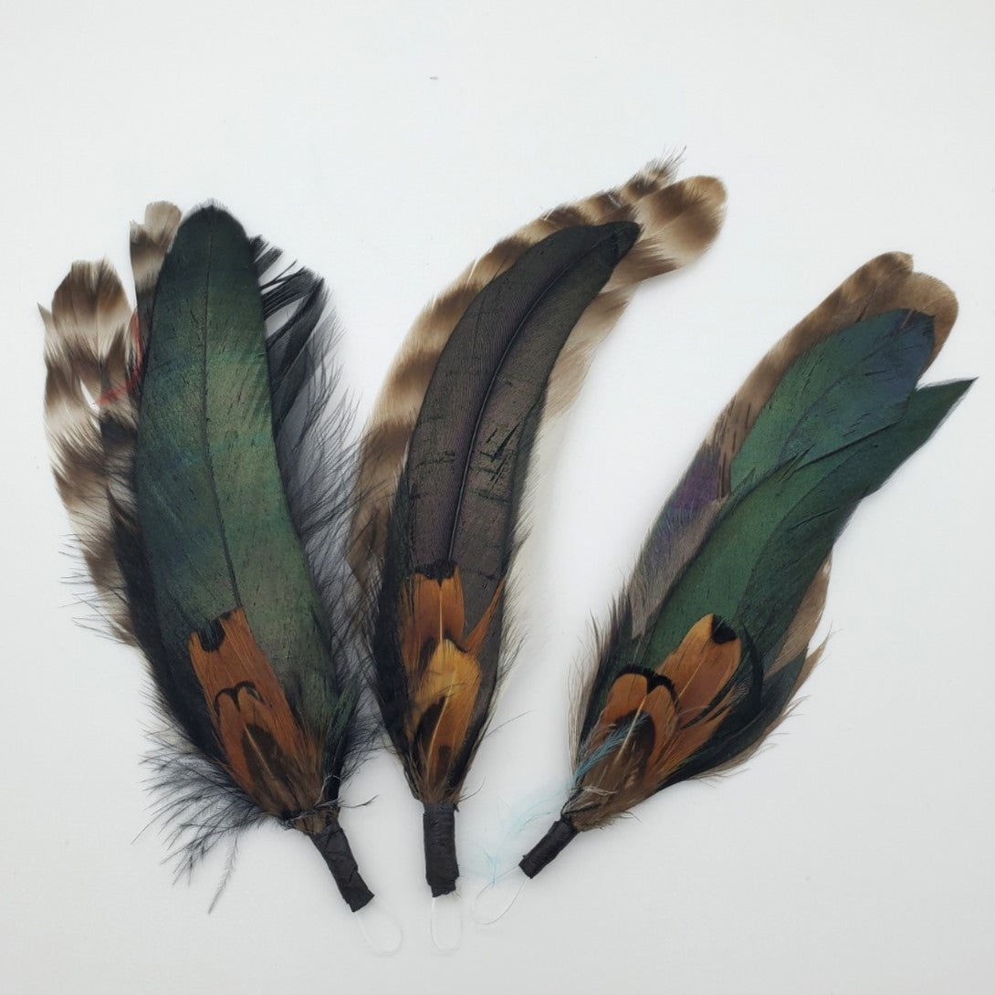 Green & Brown Feathers