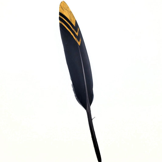 BLACK & GOLD FEATHER
