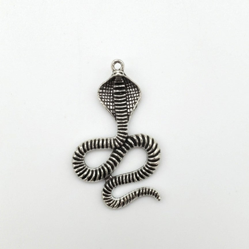 Silver Snake Charms