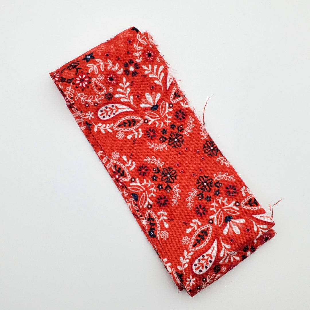 Red Paisley Fabric