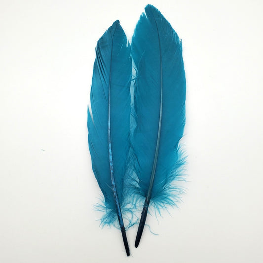 Teal Feathers