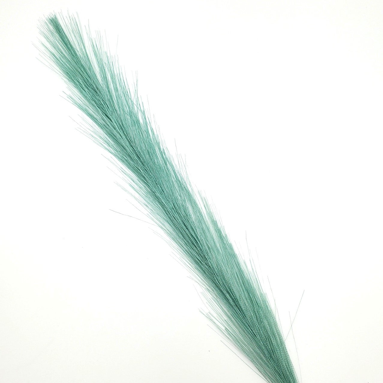 Long Turquoise Feather