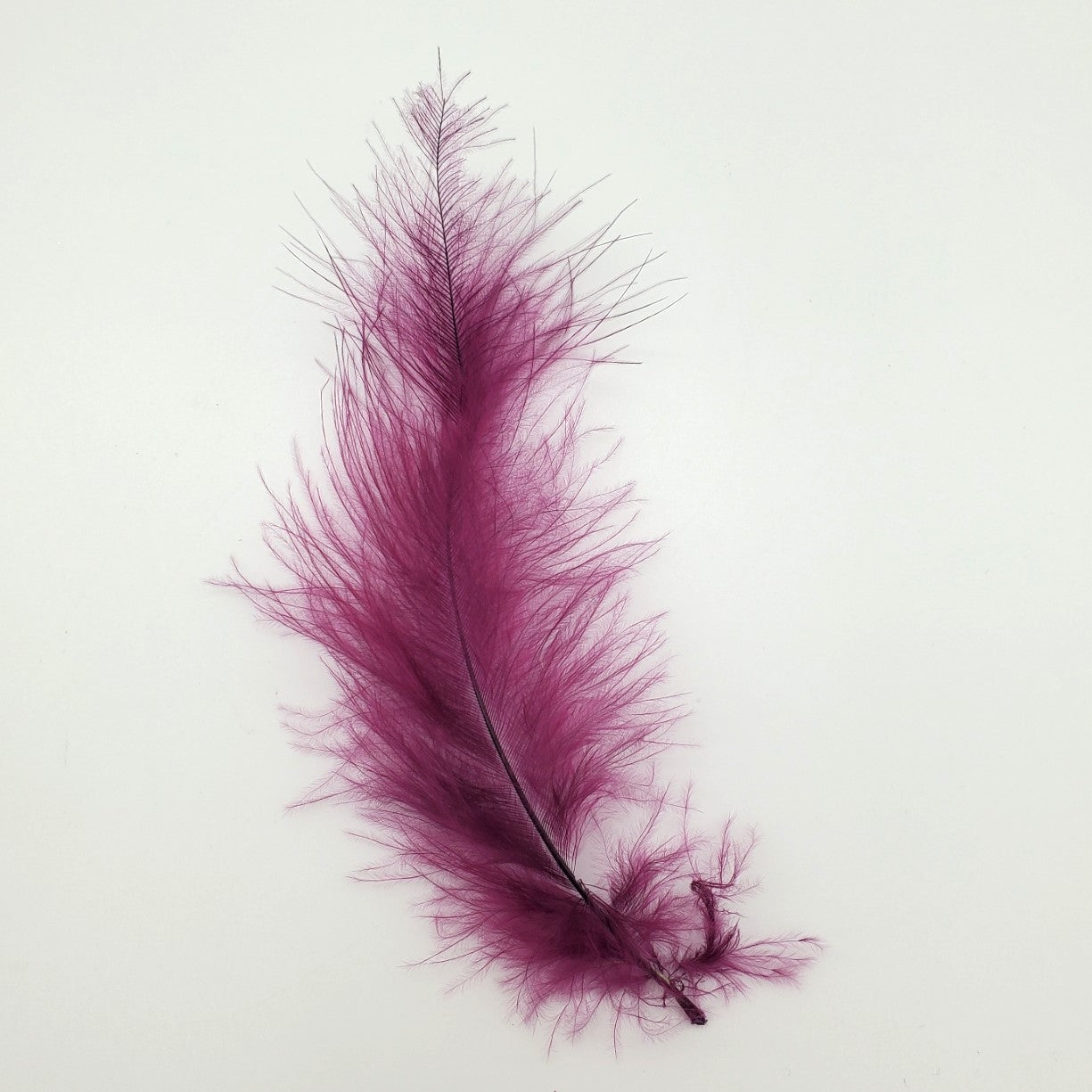 Dark Burgundy Feather