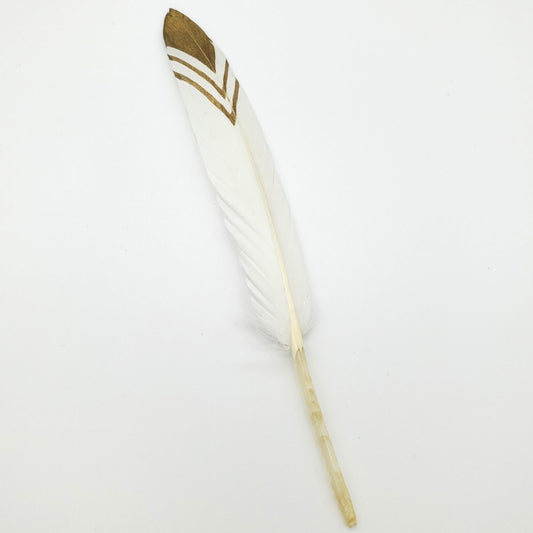 WHITE & GOLD FEATHERS