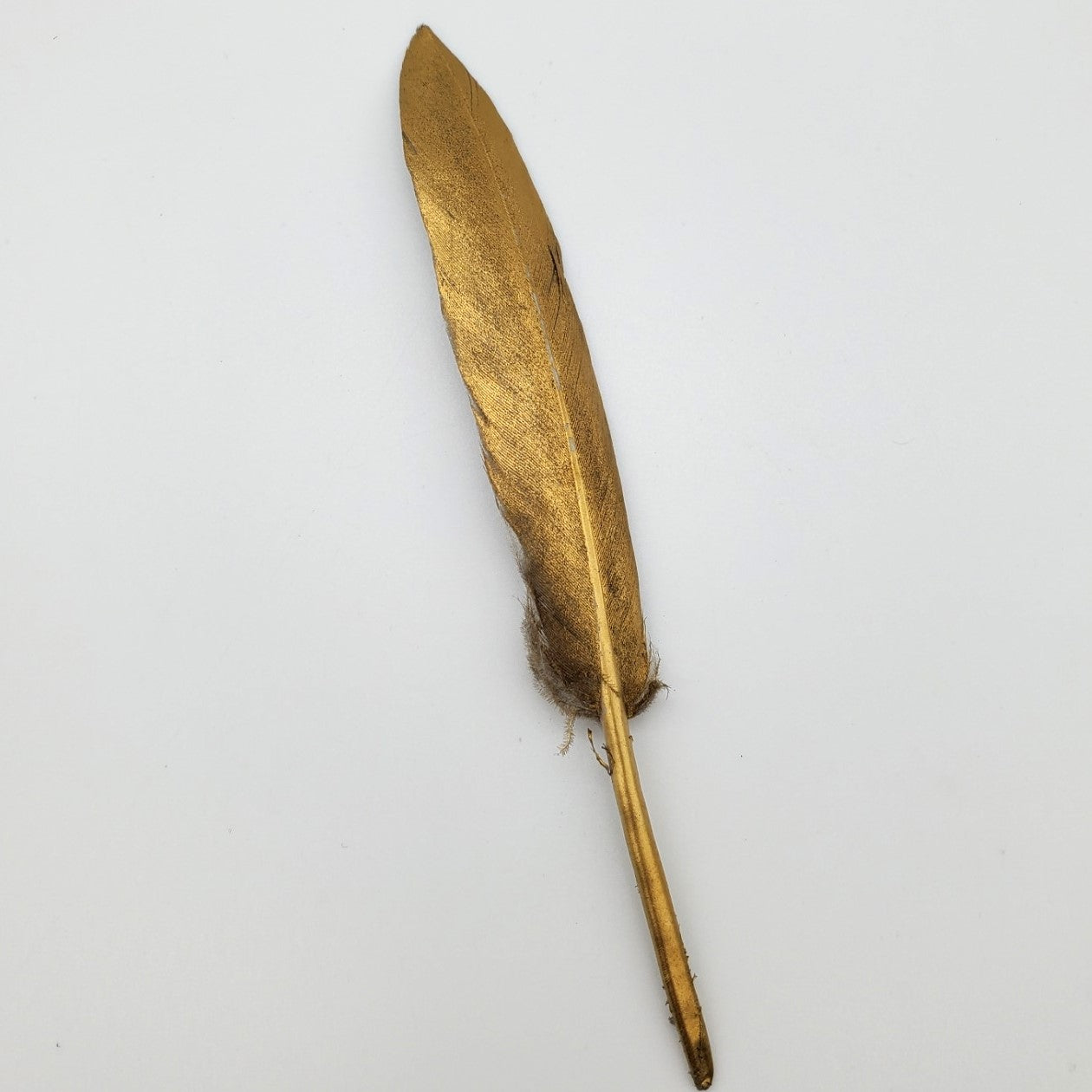 GOLD FEATHER