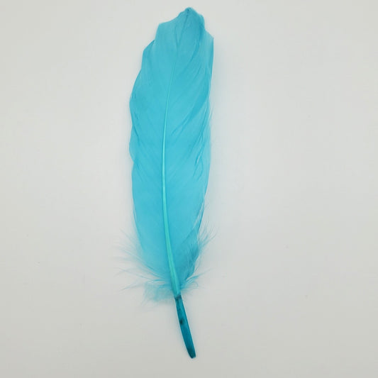 Baby Blue Feather