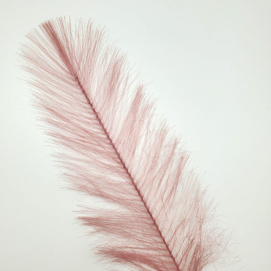 Light Pink Large Feather
