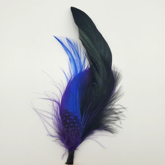Multi Color Feathers