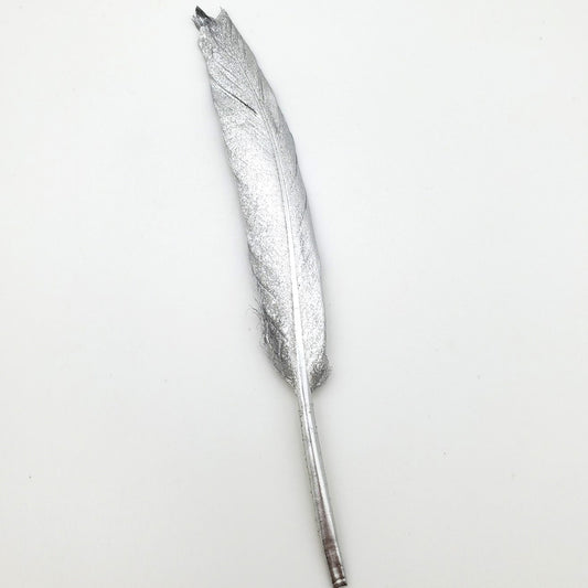 SILVER FEATHERS