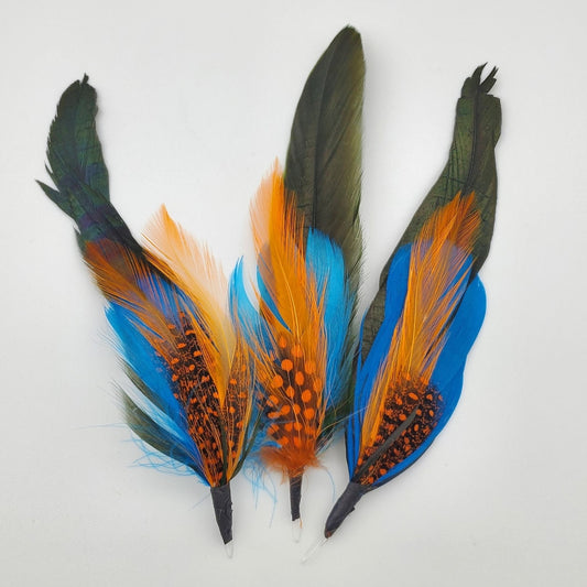Blue & Orange Feathers