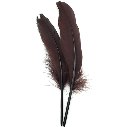 Two-tone Black Feather
