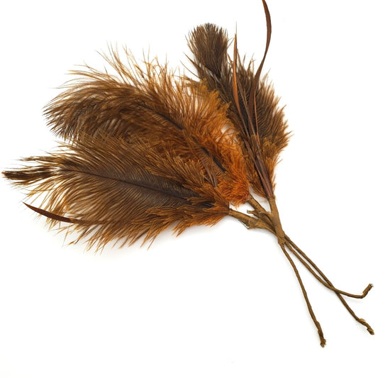 Orange Brown Feather Duo